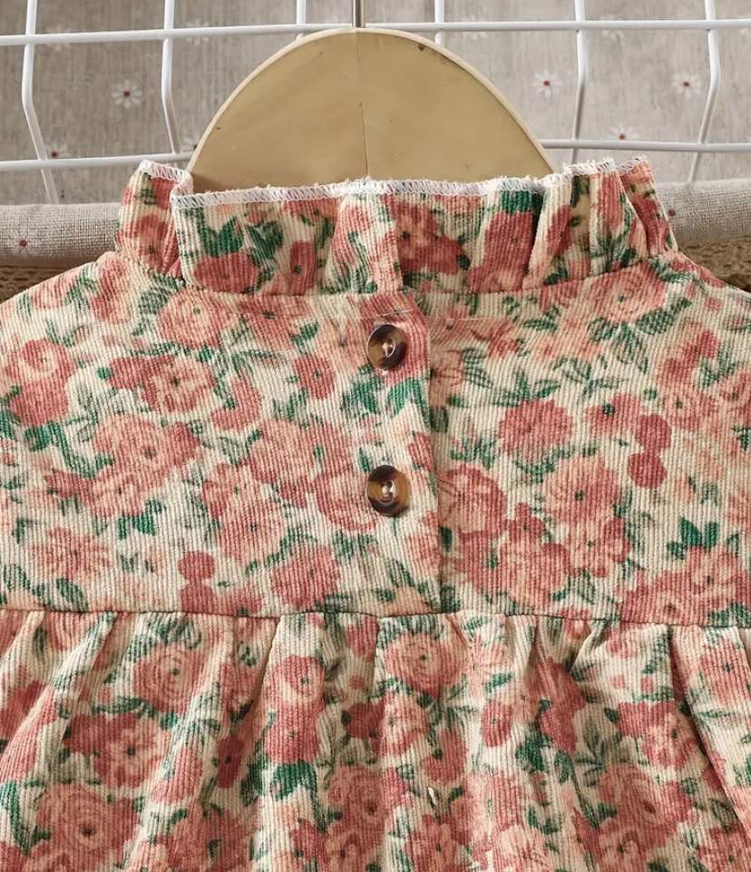 Rose Pink & Green Corduroy Dress