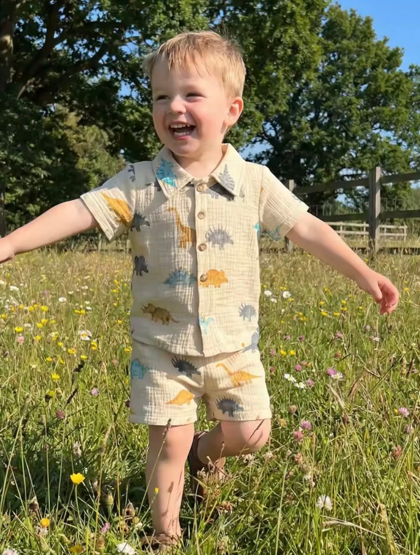 Muslin Dinosaur Set