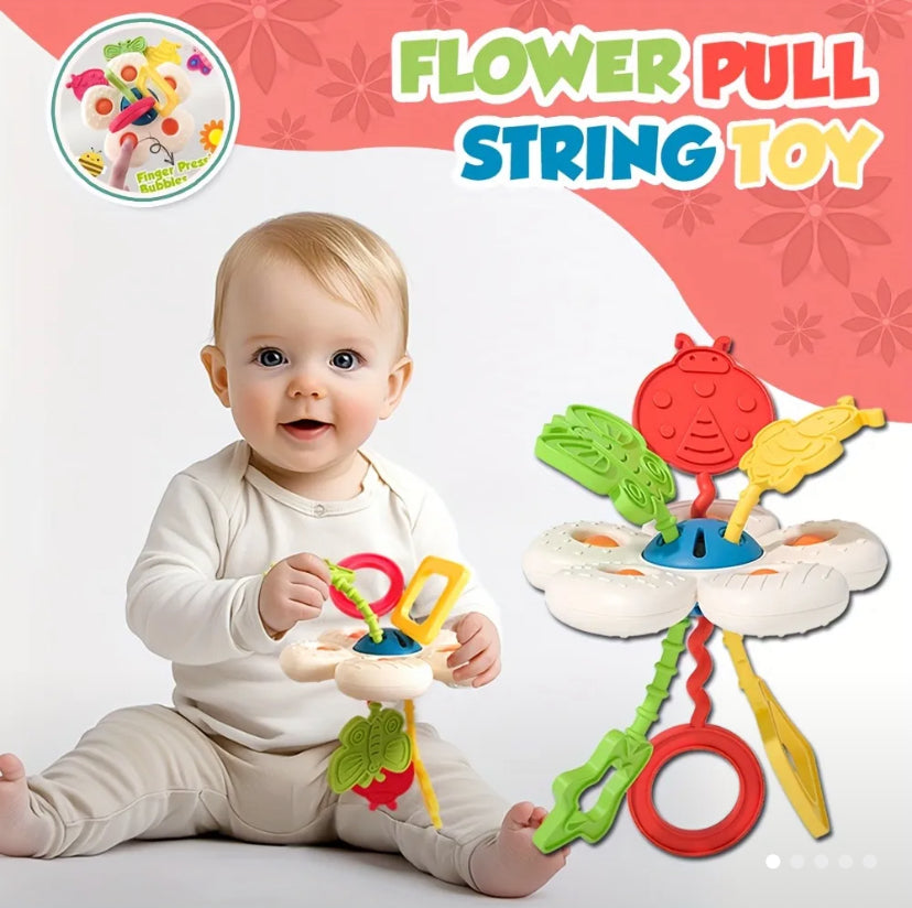 Interactive Pull Cord Toy