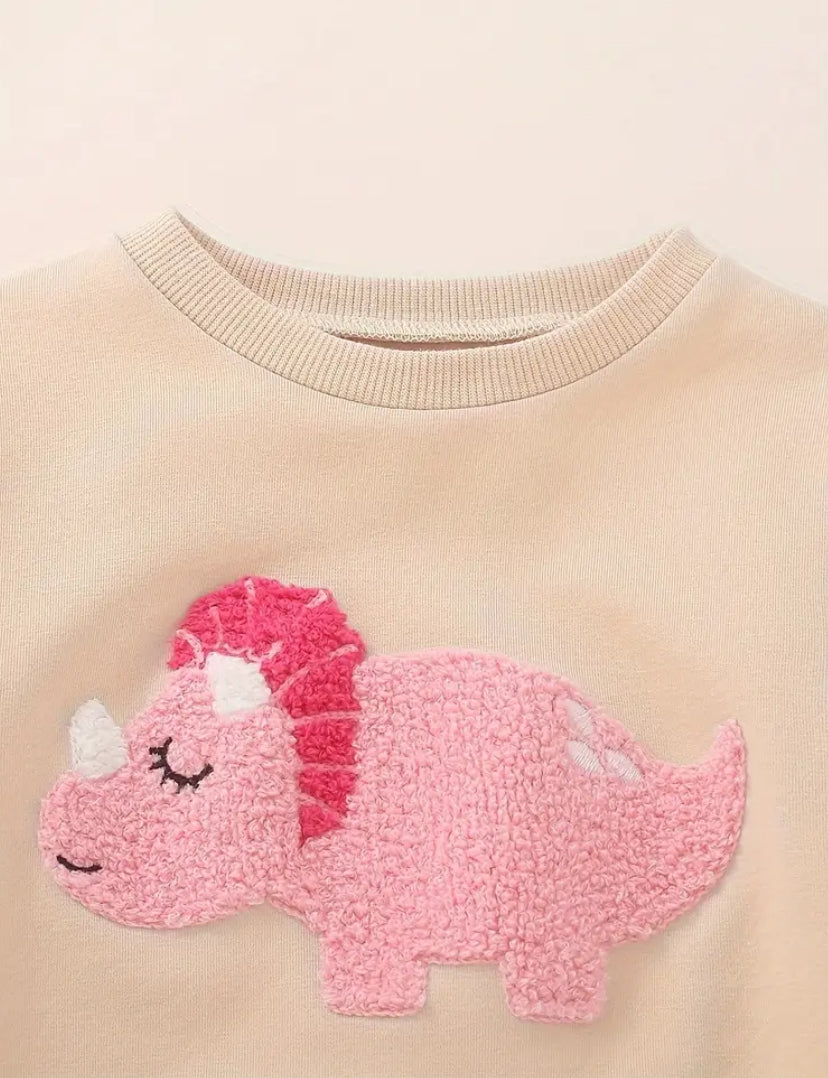 Pink Dinosaur Sweatsuit