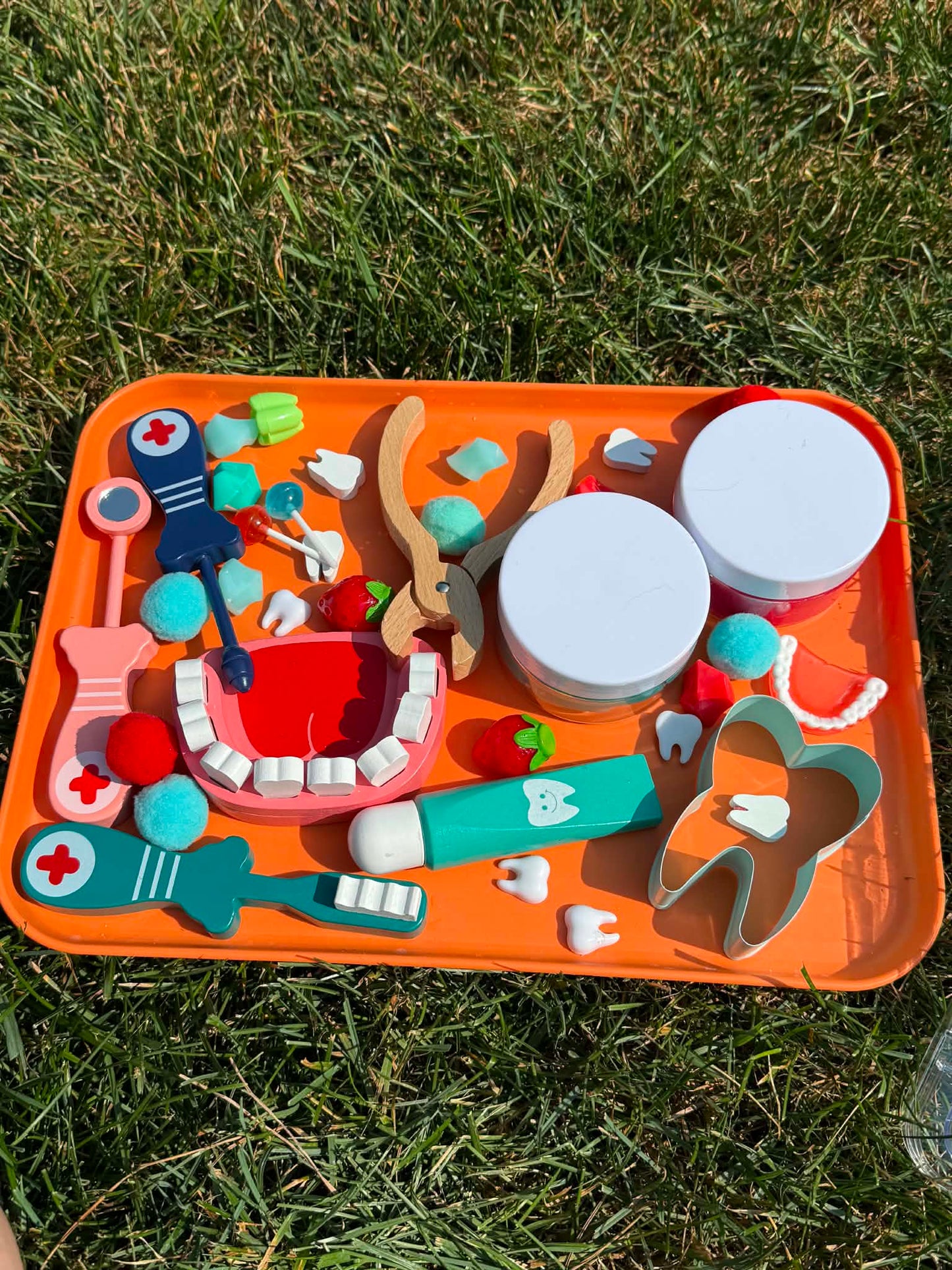 Play Dough Set