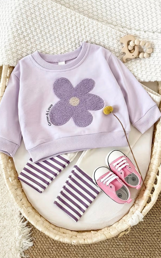 Purple Daisy Set