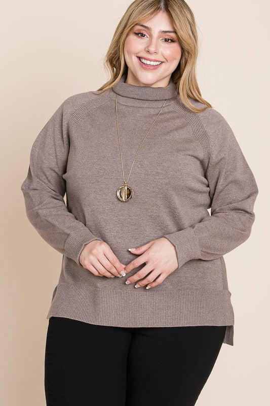 Plus Size Turtleneck Solid Sweater