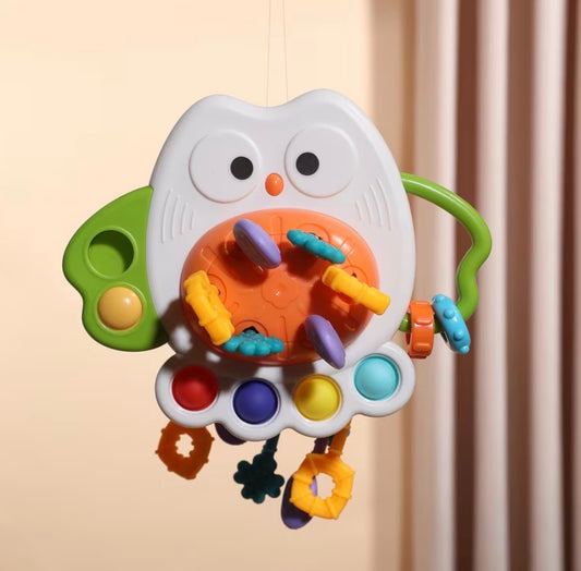 Owl Pull Toy