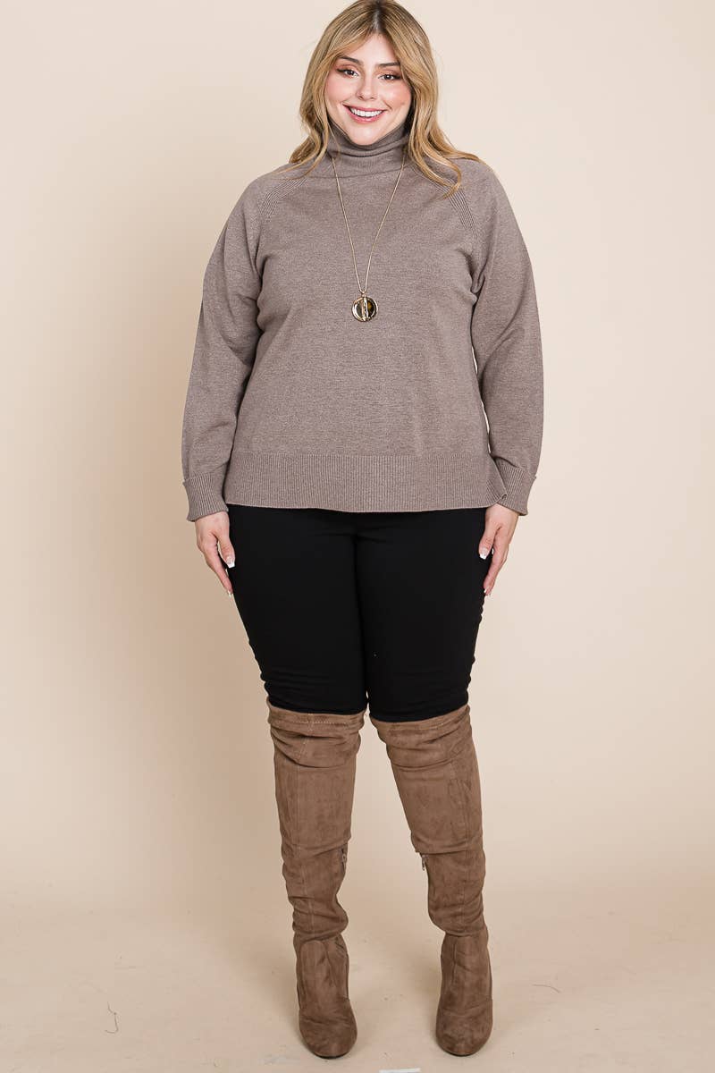 Plus Size Turtleneck Solid Sweater