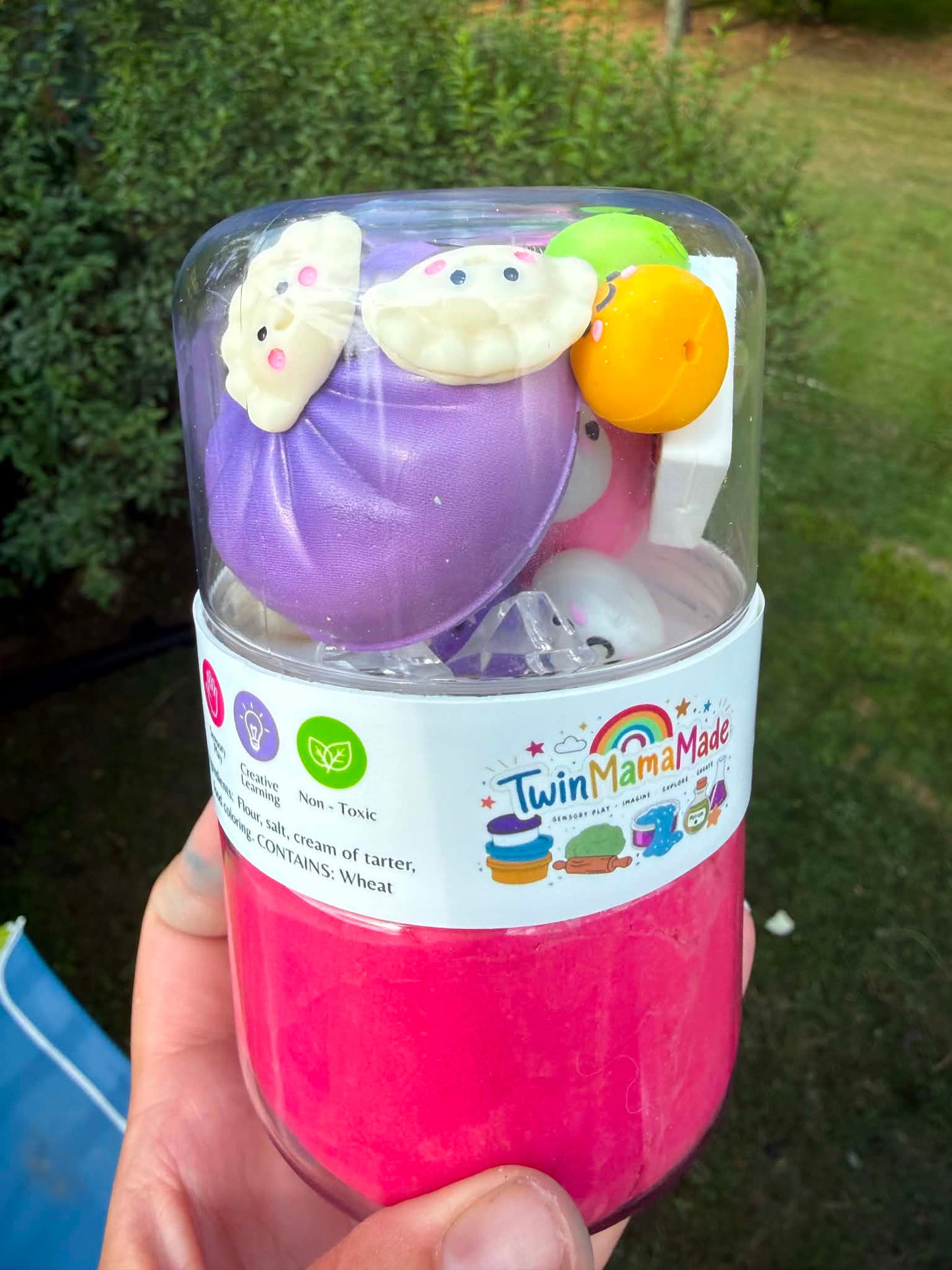 Play Dough Set