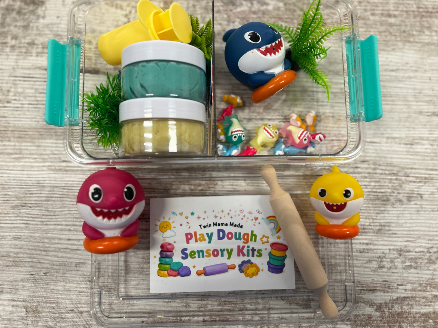 Play Dough Set