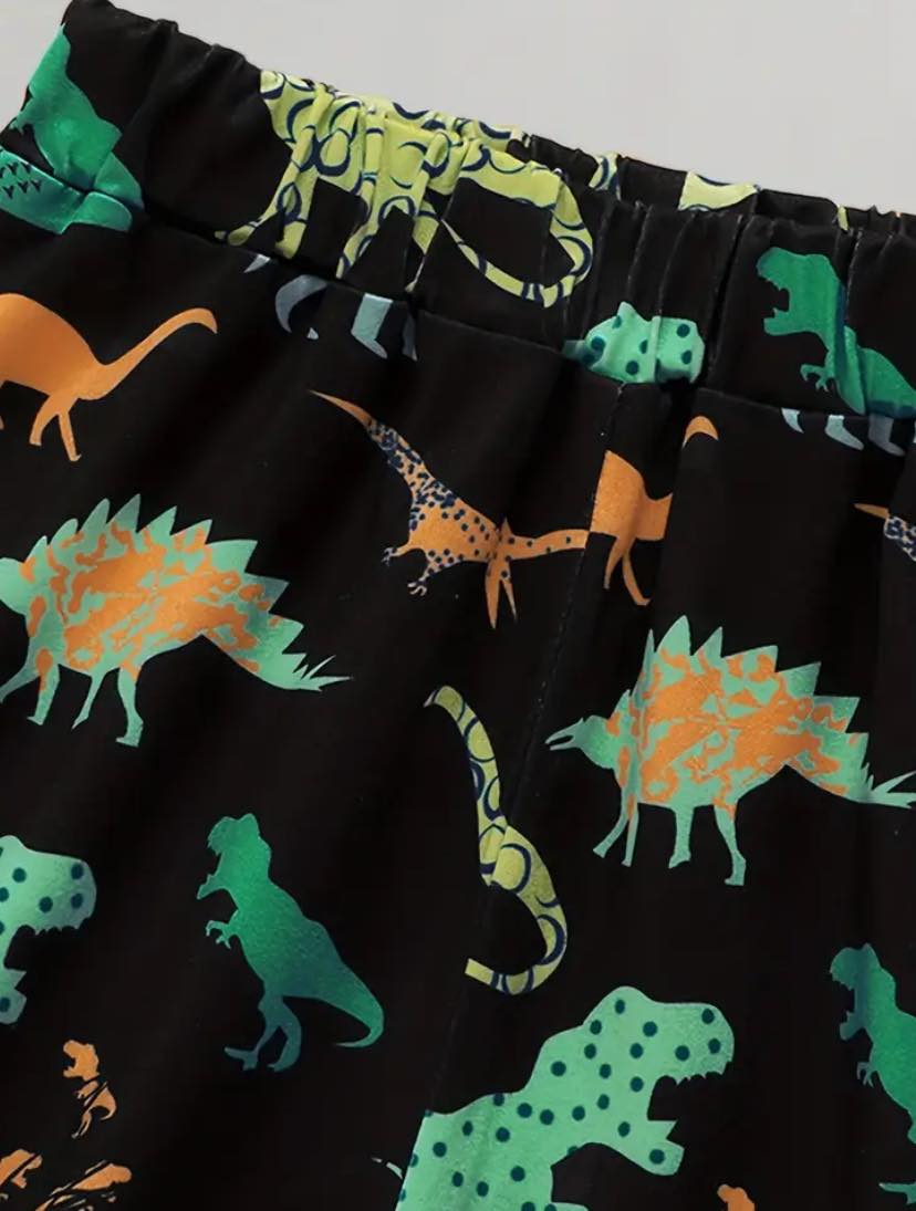 Dinosaur Print Hooded Sets