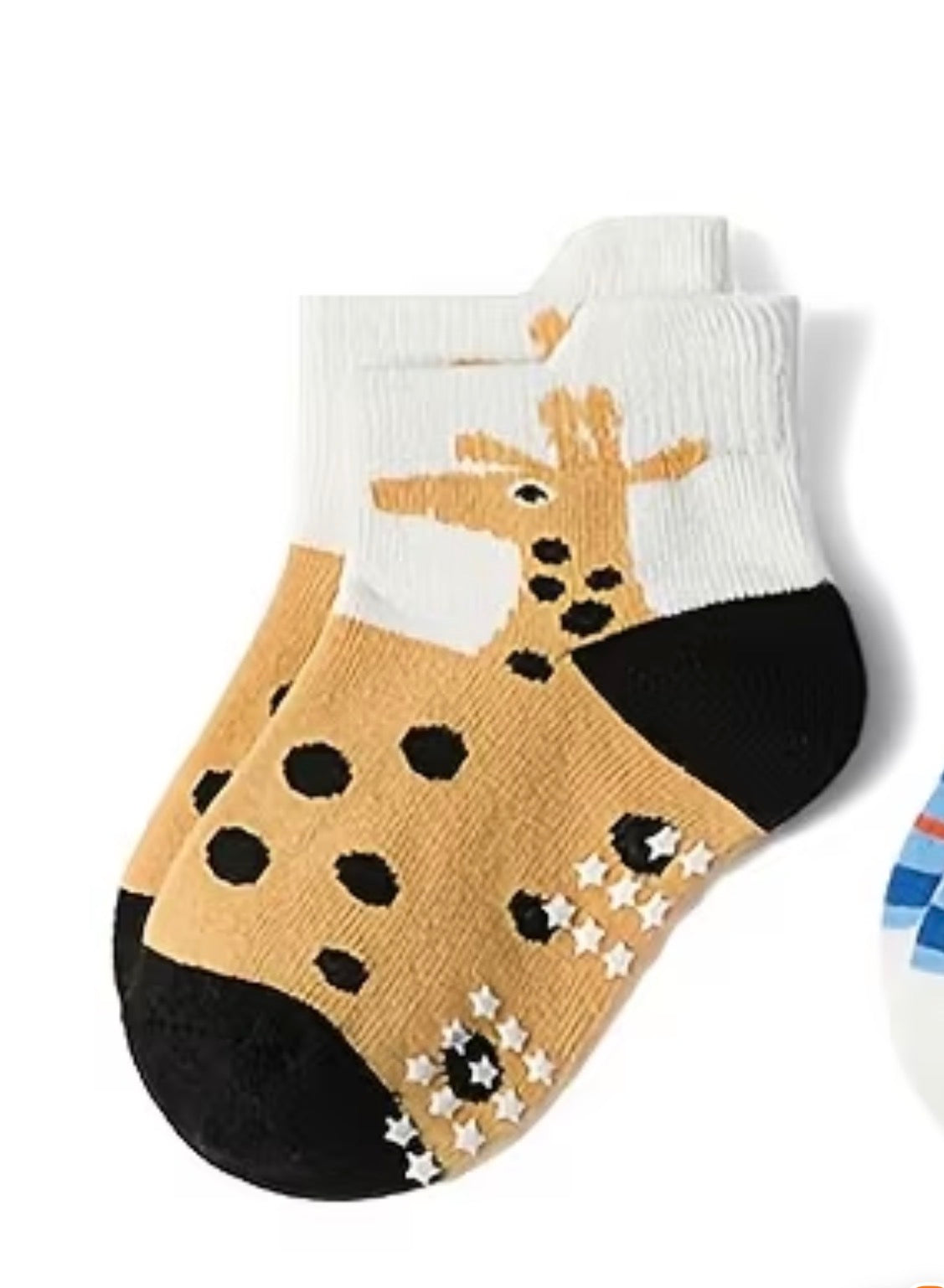 Animal & Sea Socks