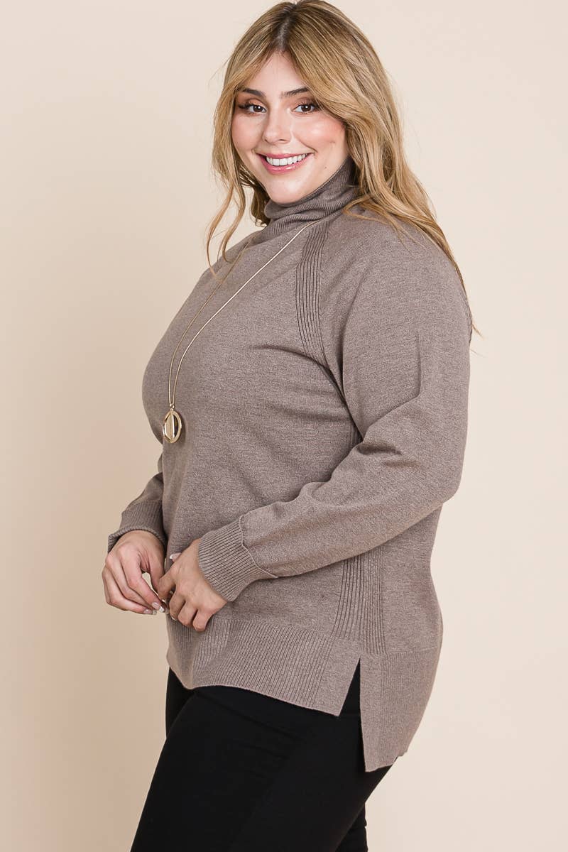 Plus Size Turtleneck Solid Sweater