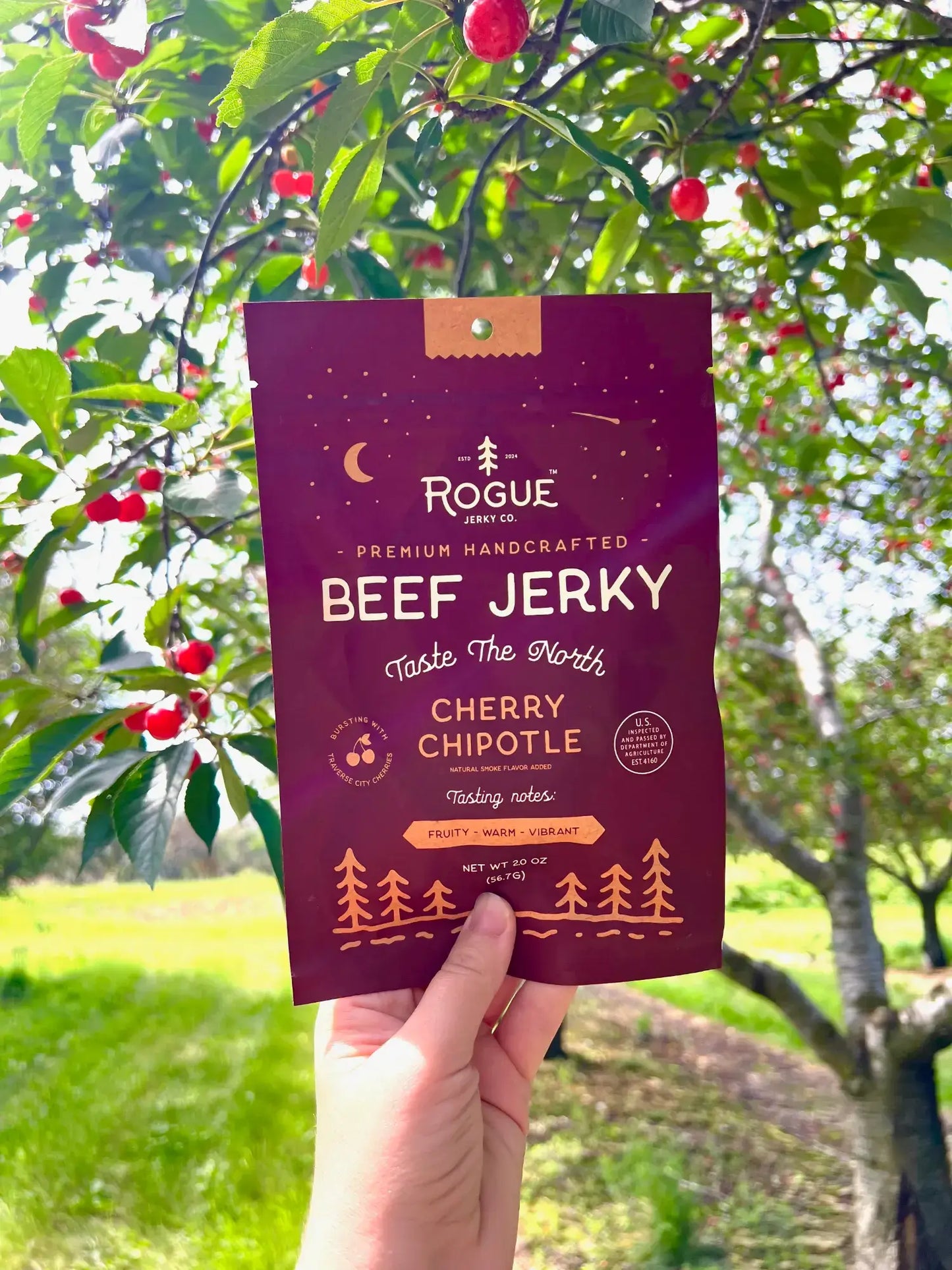 Beef Jerky Snack