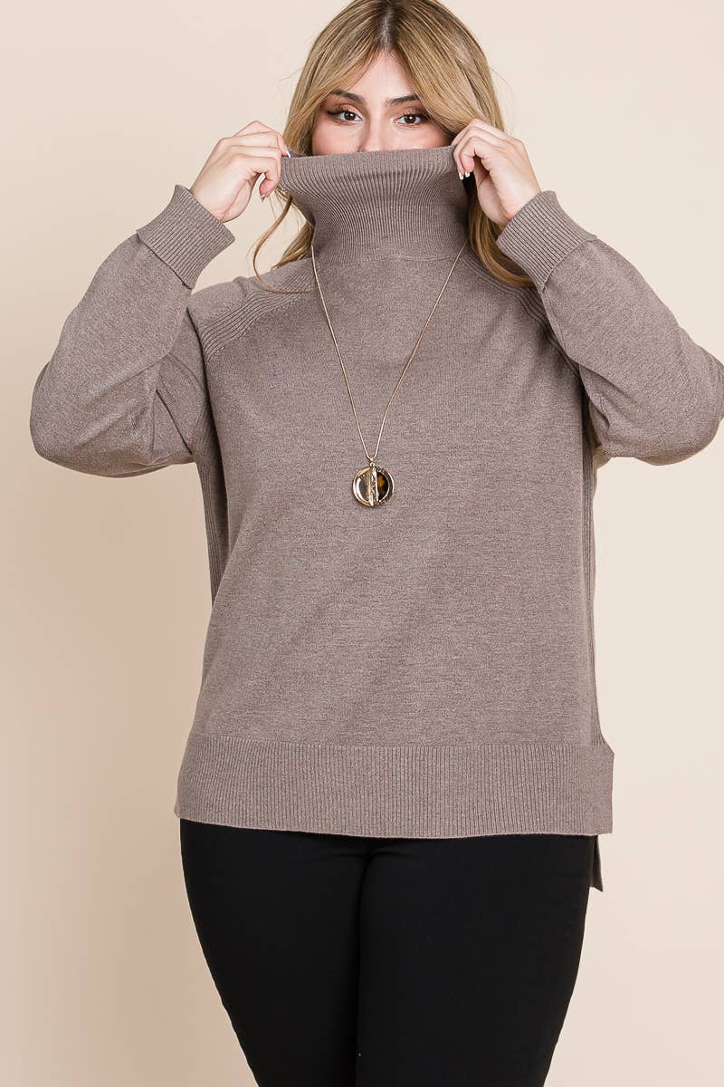Plus Size Turtleneck Solid Sweater
