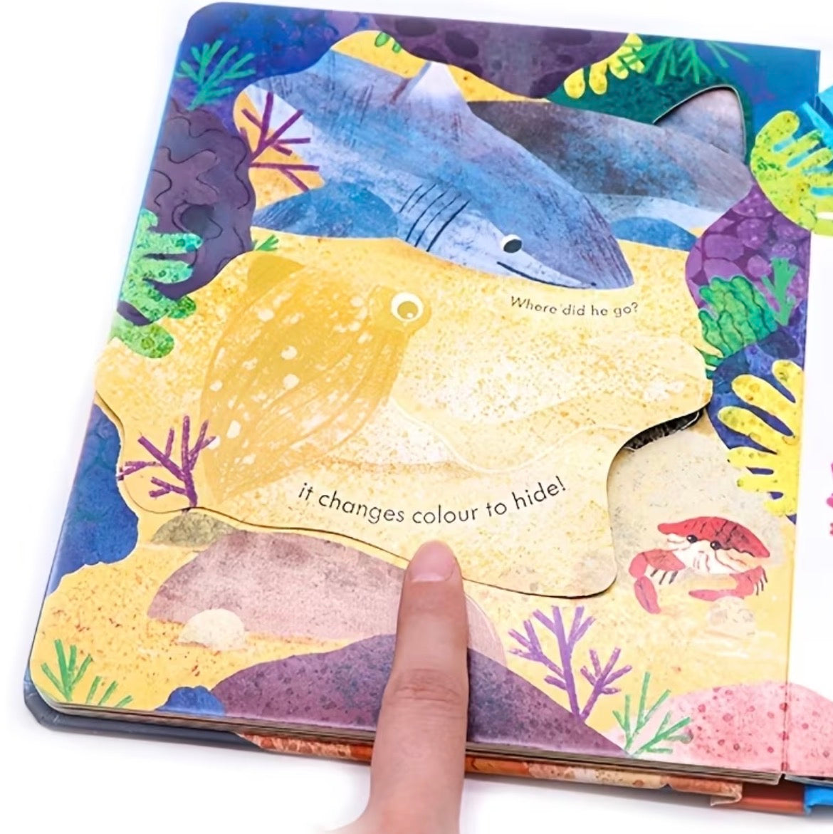Peep Inside Books