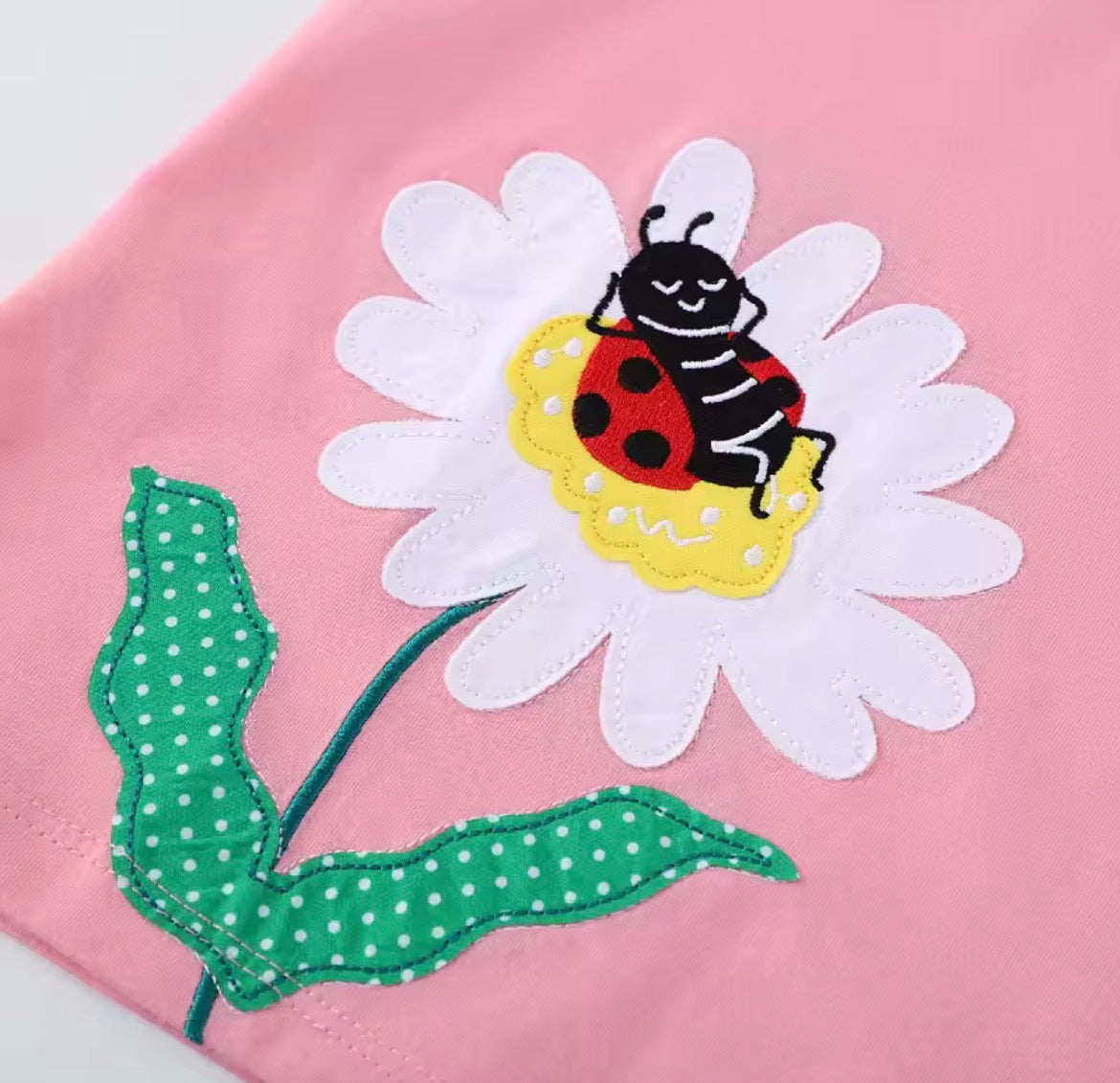 Lady Bug Dreams