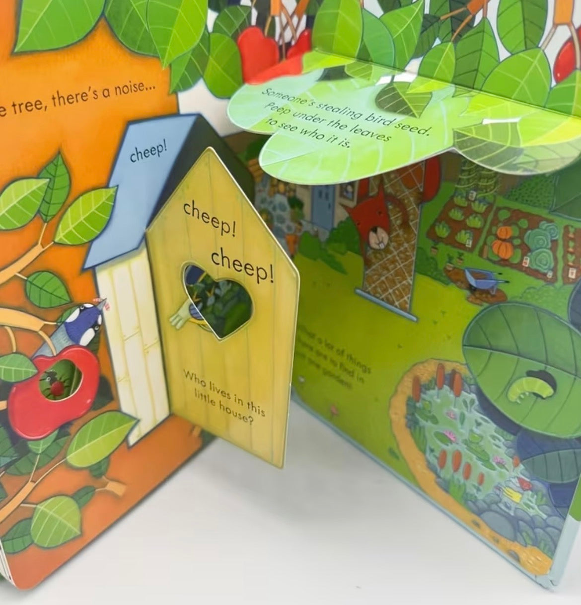 Peep Inside Books
