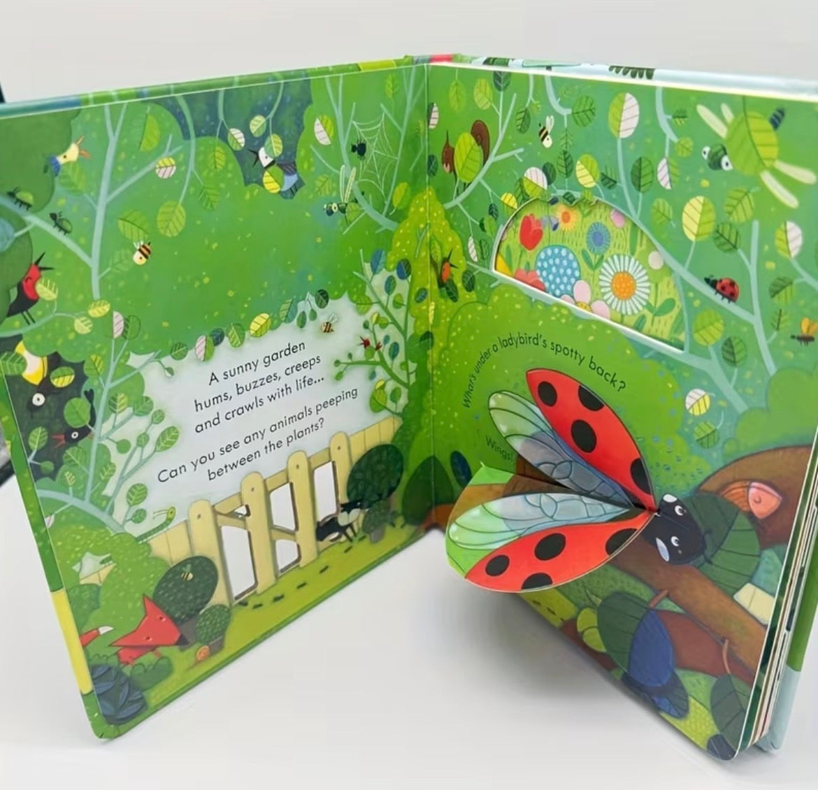 Peep Inside Books