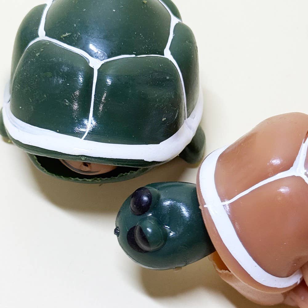 Turtle Pop-Out Squishy Fidget Toy