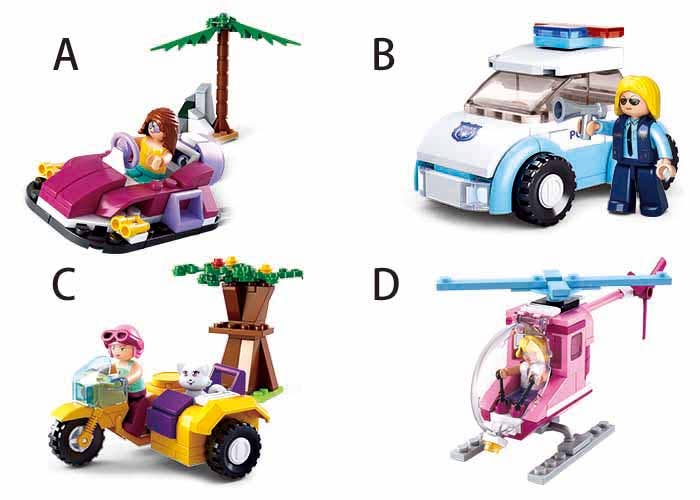 Girls Dream Building Brick Display Set