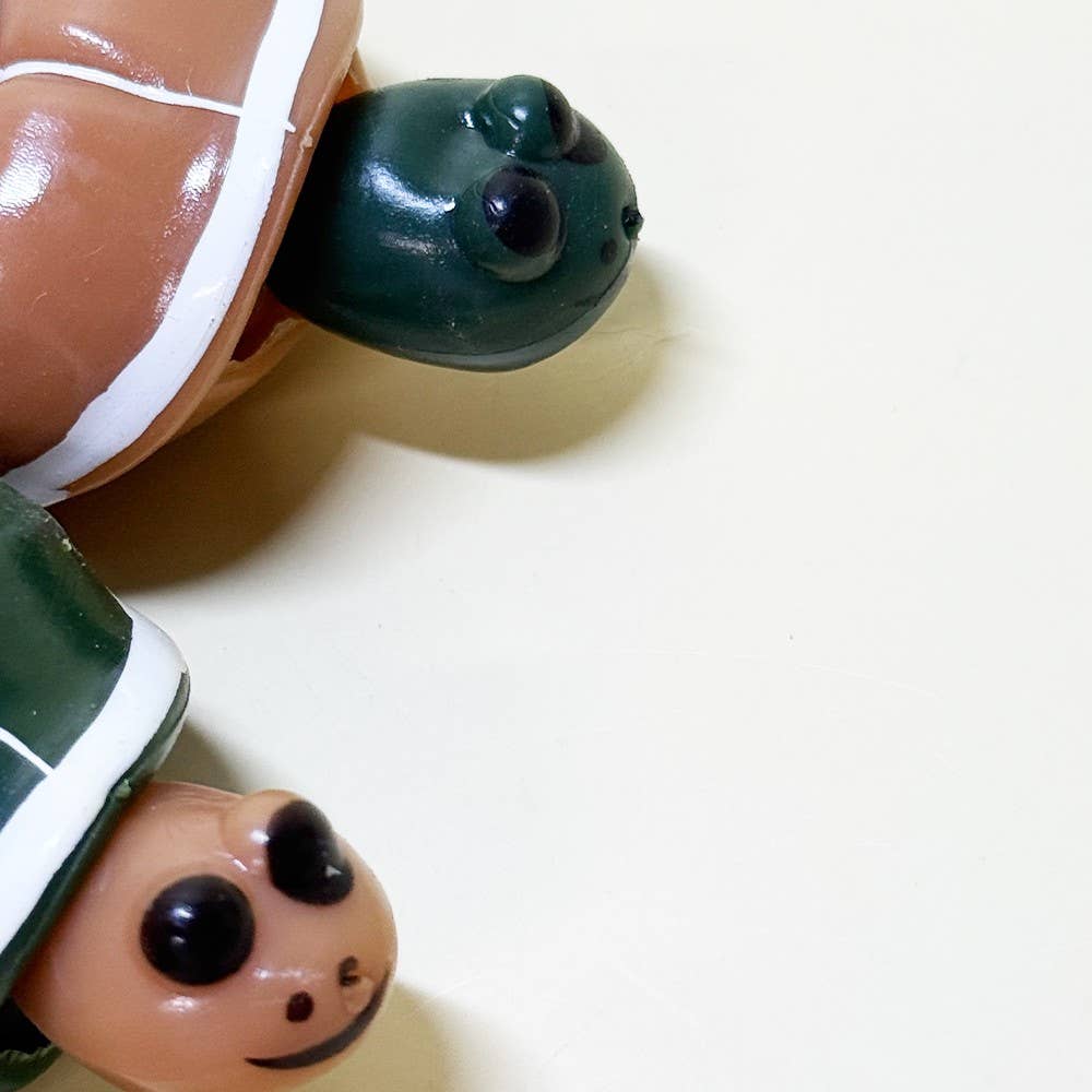 Turtle Pop-Out Squishy Fidget Toy